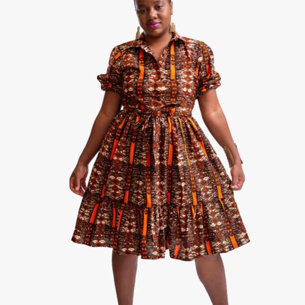 Kofi Skater Dress - House of Chi Official